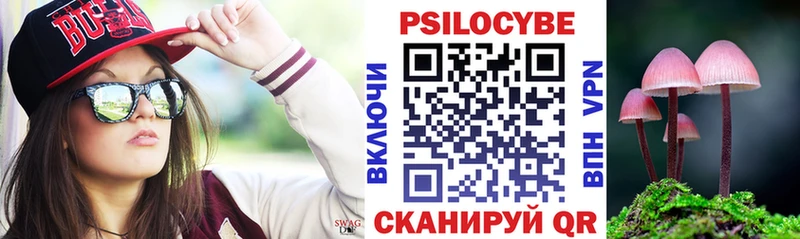 гидра ССЫЛКА  Полевской  Псилоцибиновые грибы Psilocybine cubensis 