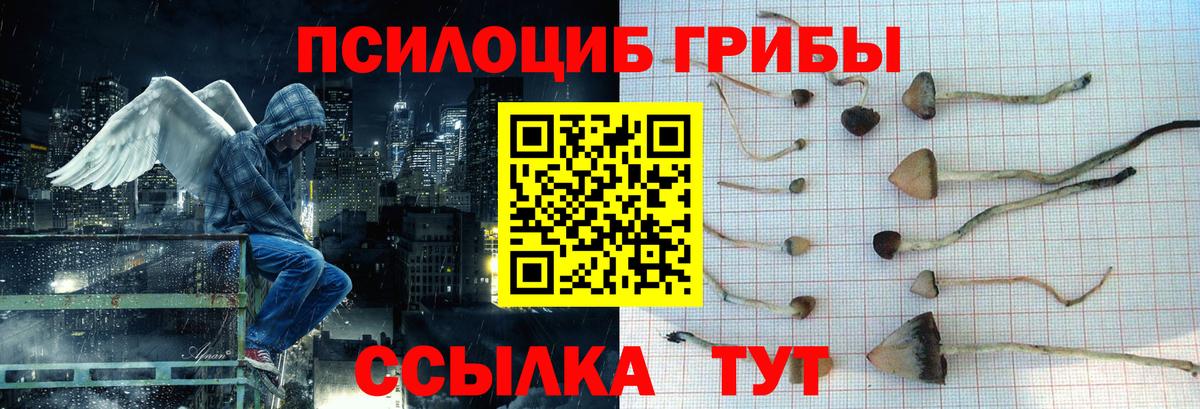 Псилоцибиновые грибы мицелий  Вход с VPN  цены   Полевской 